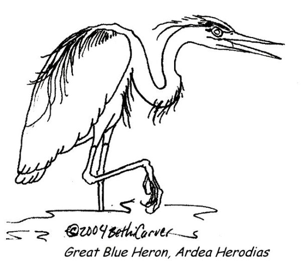 Журавль рисунок карандашом