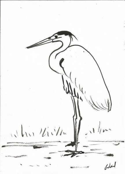 Журавль раскраска для детей