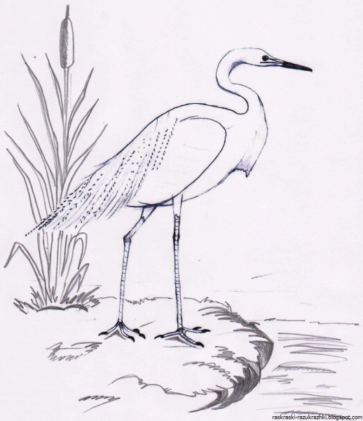 Поэтапное рисование журавля для детей