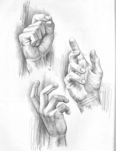 Нарисовать кисть руки