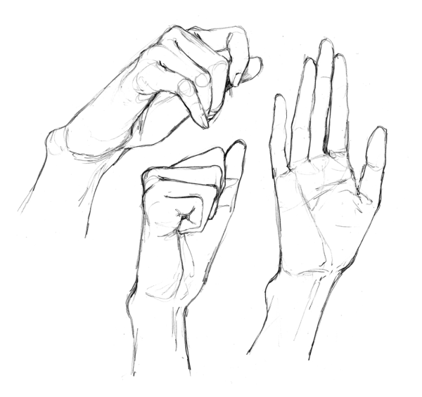 Кисти рук Графика