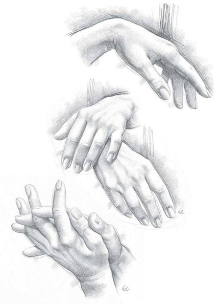 Анатомия руки для художников