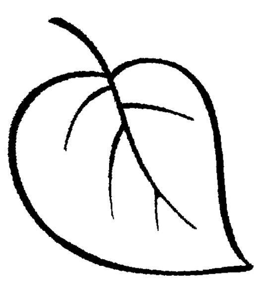 Листья клена эскиз