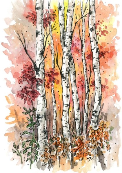 Береза раскраска