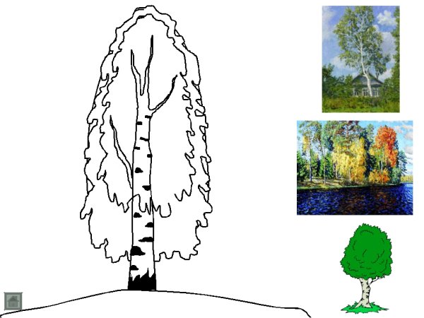 Береза раскраска для детей