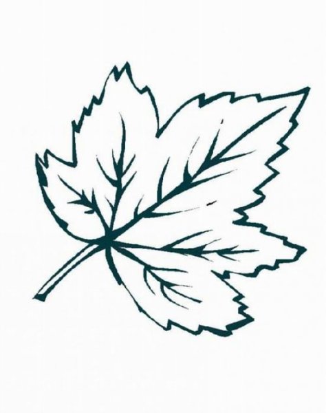 Шаблоны осенних листьев