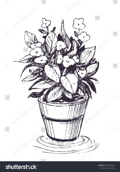 Цветок в горшке Графика