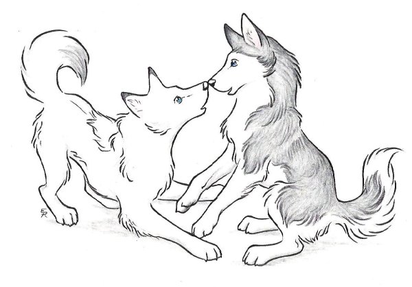 Кошка и собака для срисовки