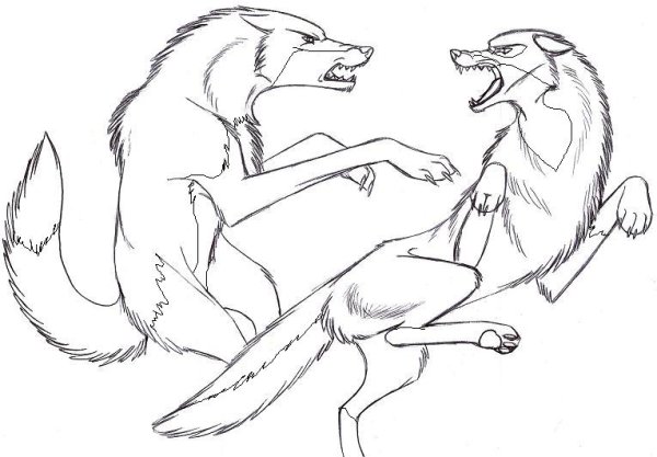 Волк и лиса раскраска