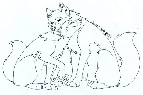 Лайны влюбленных Волков