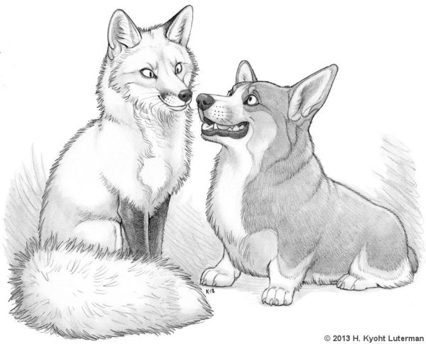 Раскраски собачки и лисички