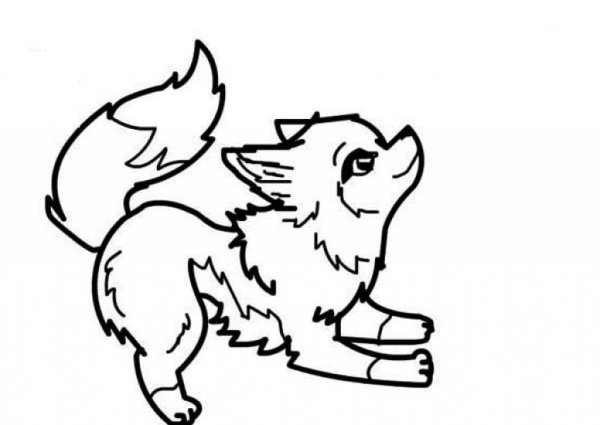 Раскраска Волчонок