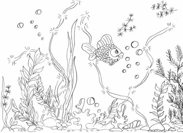 Рыбка с водорослями раскраска
