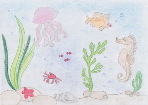 Подводный мир рисунок