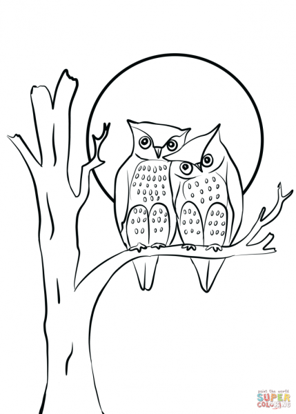 Сова на дереве раскраска