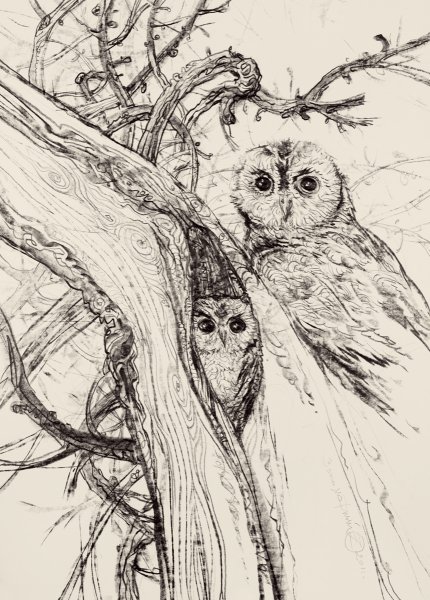 Филин на ветке Графика