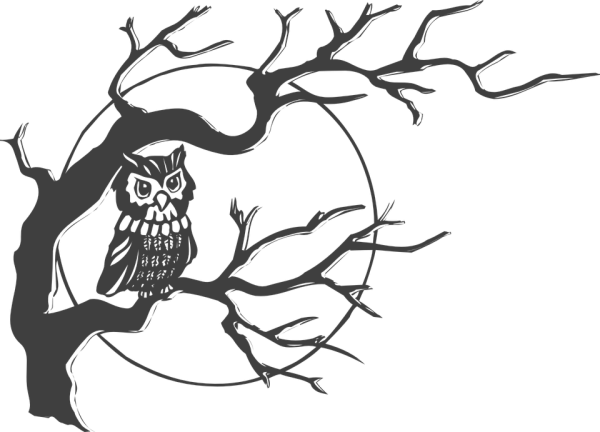 Тату Сова сипуха эскиз