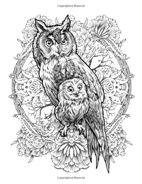 Рисунок Совы для выжигания по дереву