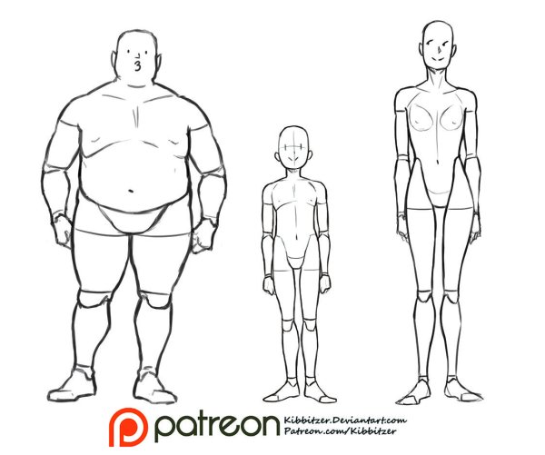 Телосложение человека референс