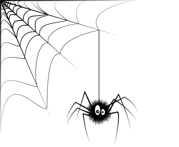 Паутина с пауком в углу