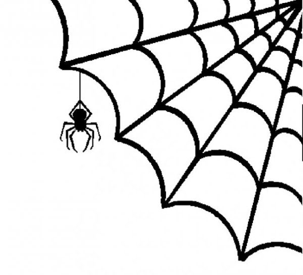 Паутина раскраска