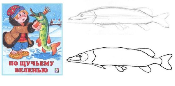 Поэтапное рисование щуки