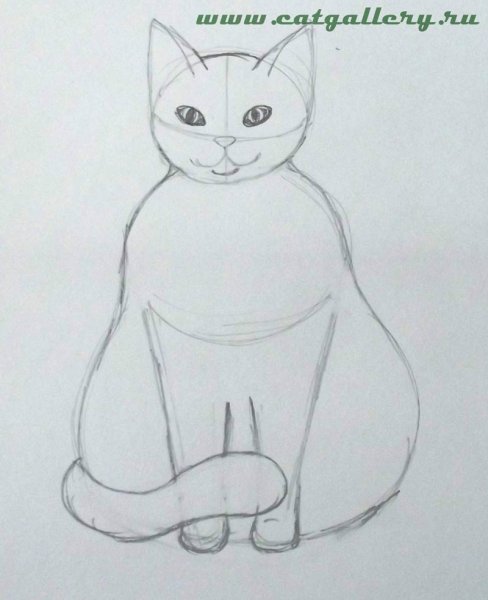Сидячая кошка рисунок