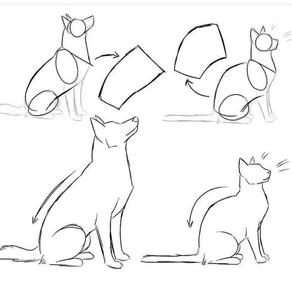 Кот сидячий рисования