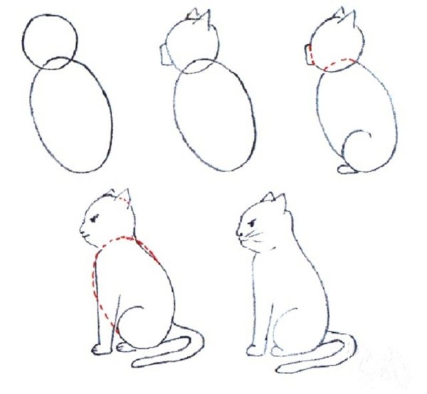 Поэтапное рисование кошки