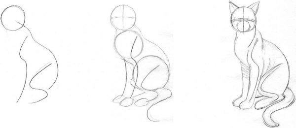 Кот сидит рисунок