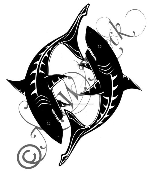 Тату акула эскиз