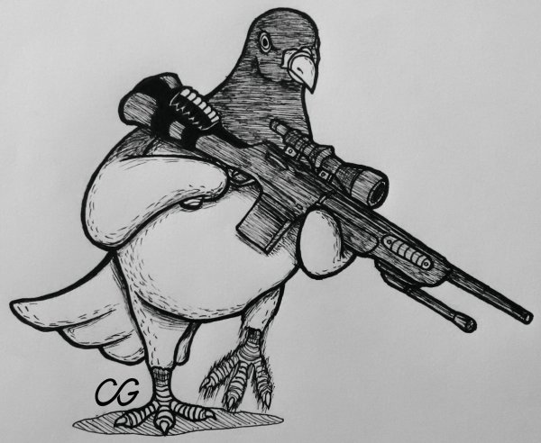 Рисунки КС го