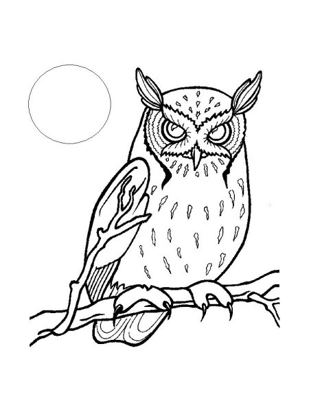 Сова Бианки раскраска для детей