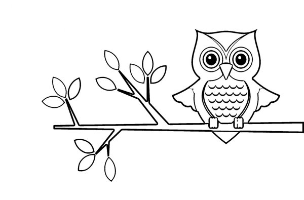 Сова на ветке раскраска