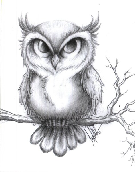 Сова карандашом