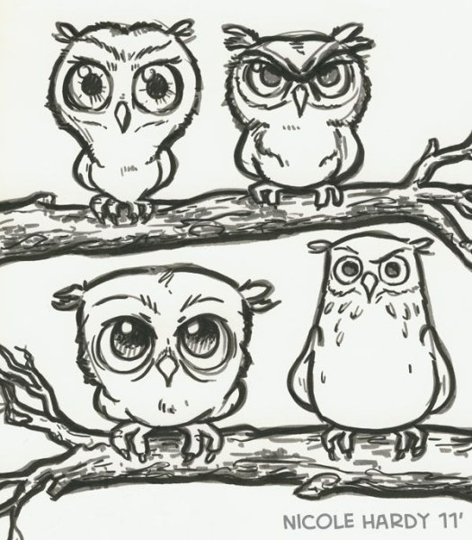 Совы карандашом прикольные