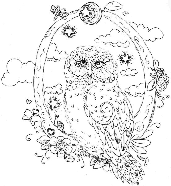 Раскраски Совушка узоры