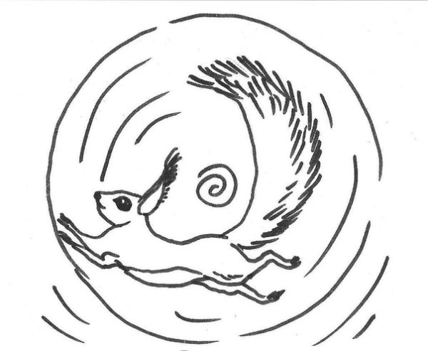 Белка в колесе раскраска