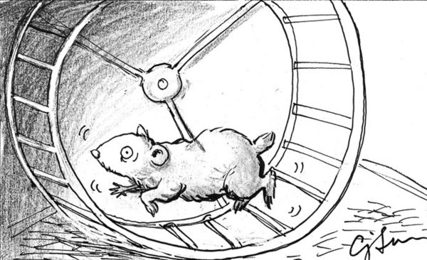 Нарисовать хомяка в колесе