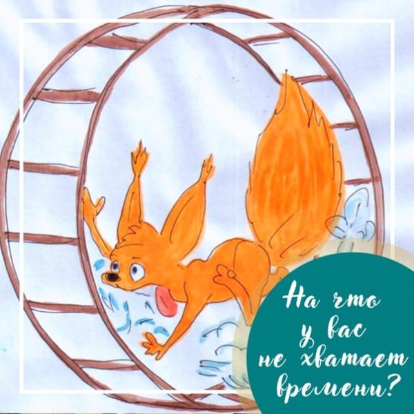 Колесо для белки