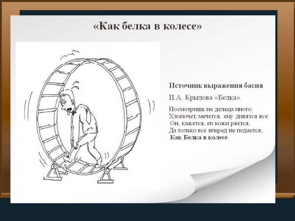 Вертеться как белка в колесе