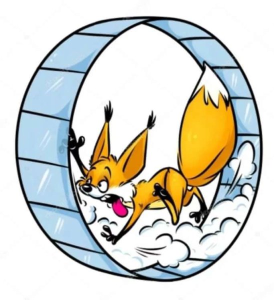 Как белка в колесе