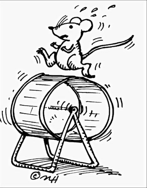 Мышь в колесе