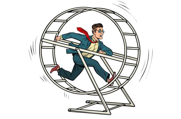 Белка в колесе