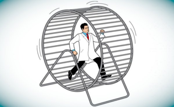 Белка в колесе