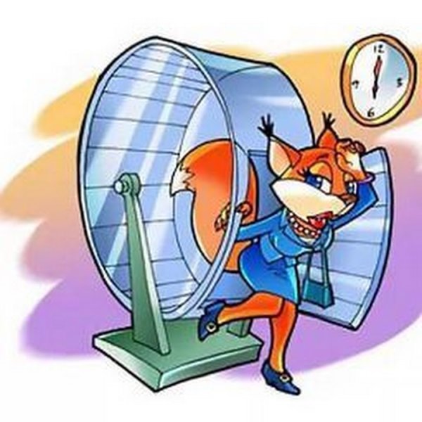 Белка в колесе