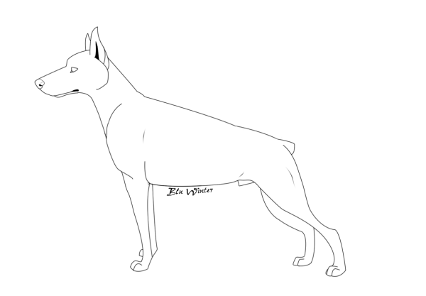 Доберман рисунок для детей