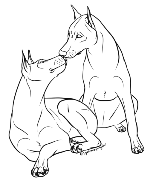 Рисунок добермана с переди