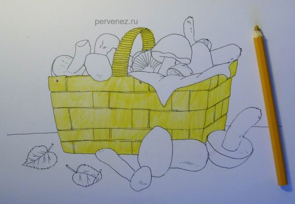 Задания на тему грибы