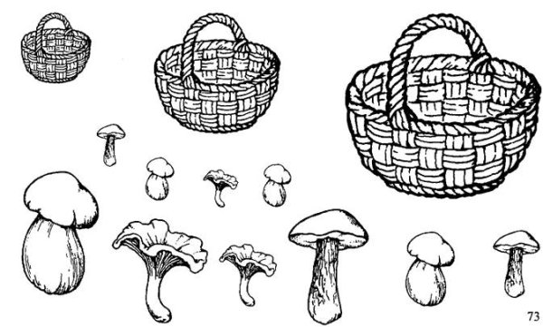 Корзинка с грибами раскраска